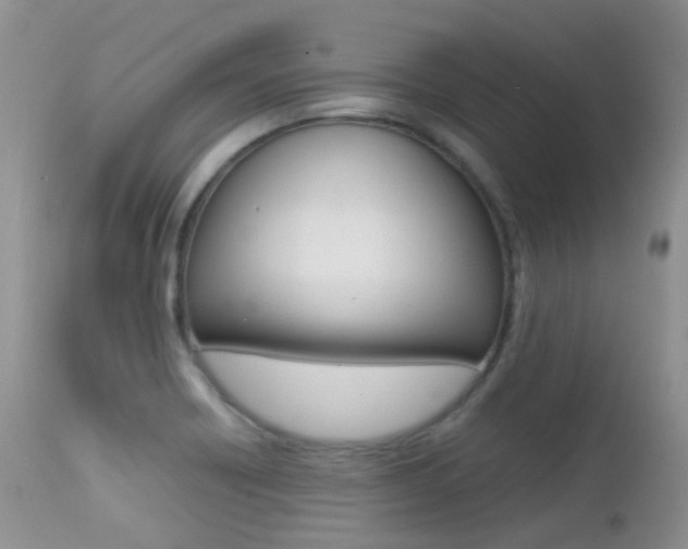 X0000113211418200909100935