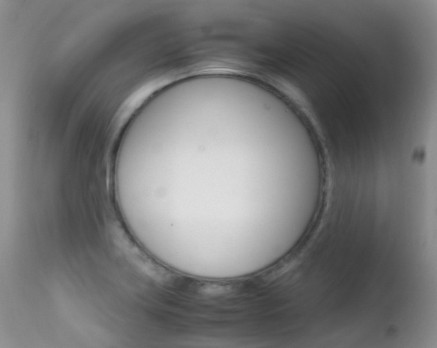 X0000113211419200909100935
