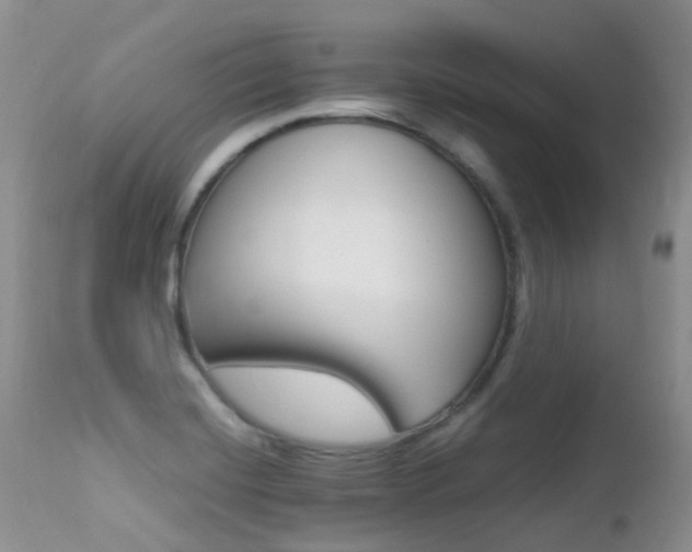 X0000113211420200909100935