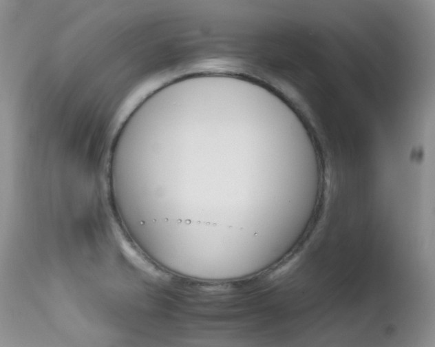 X0000113211421200909100935