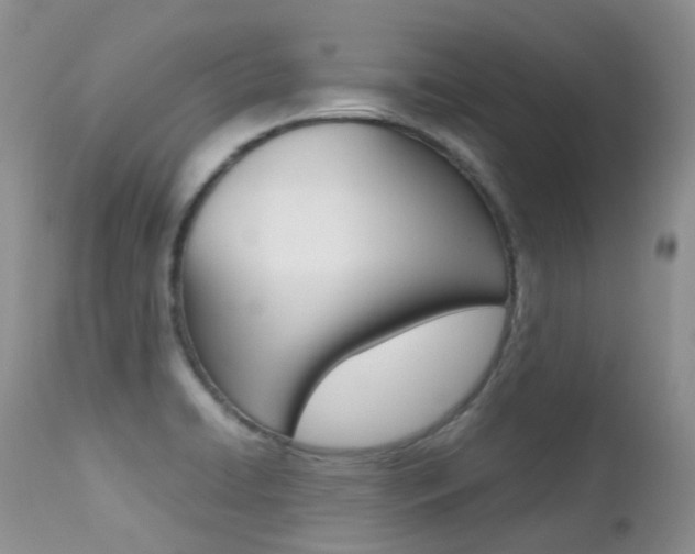 X0000113211422200909100935