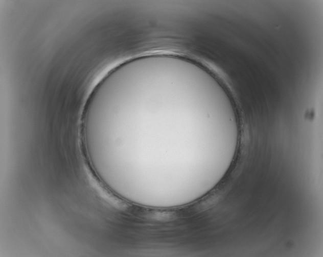X0000113211423200909100935