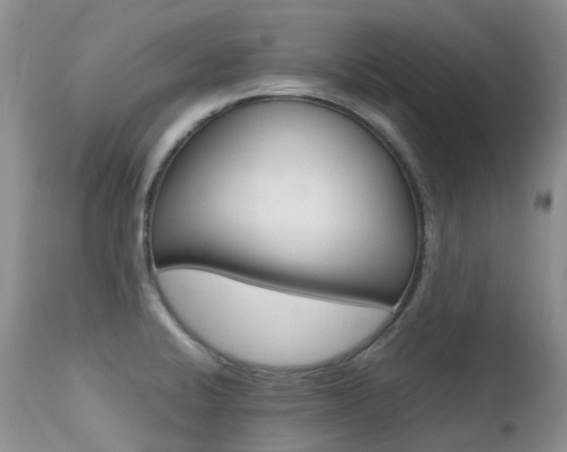 X0000113211424200909100935