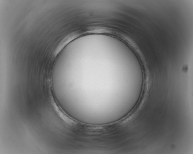 X0000113211425200909100935