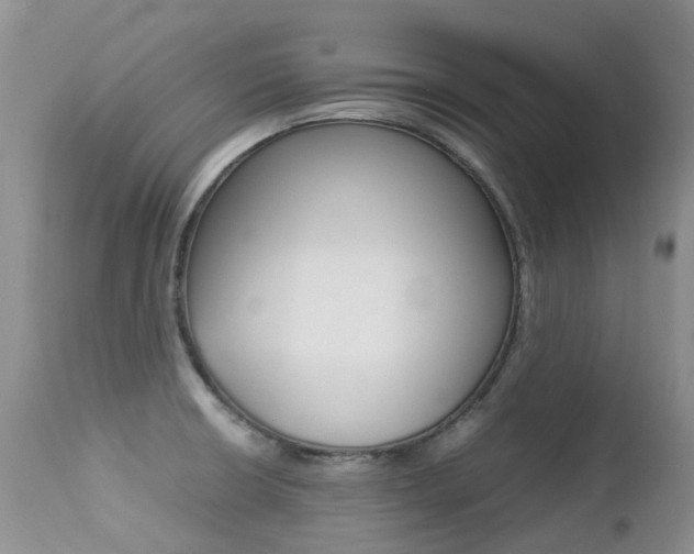 X0000113211426200909100935