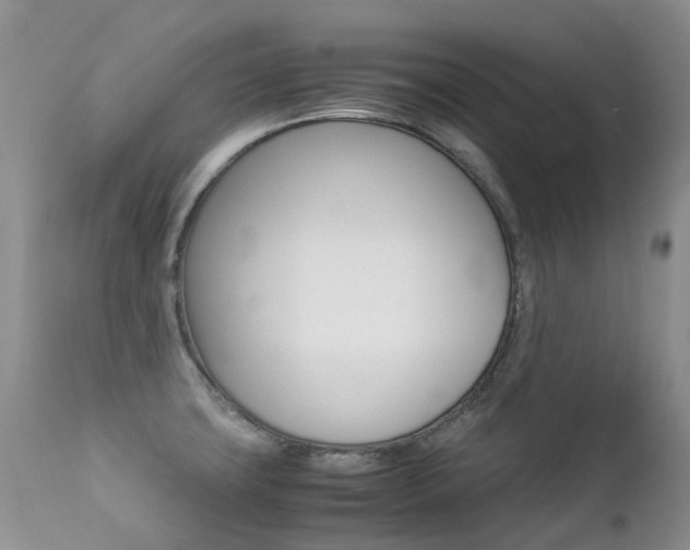 X0000113211427200909100935