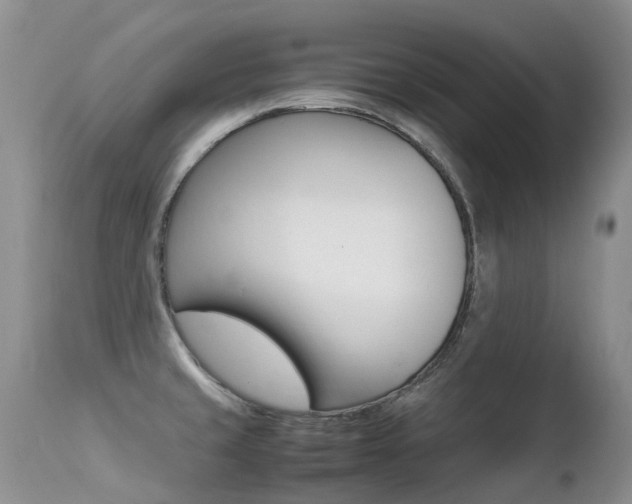 X0000113211429200909100935