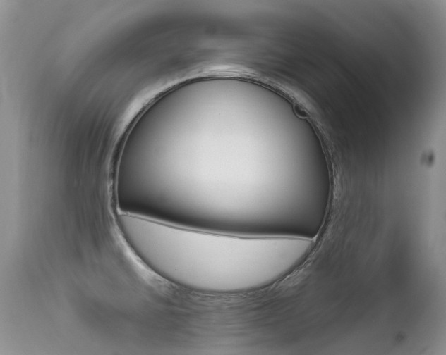 X0000113211430200909100935