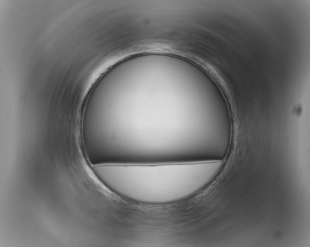X0000113211432200909100935