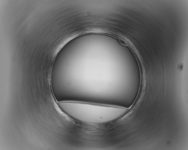 X0000113211433200909100935