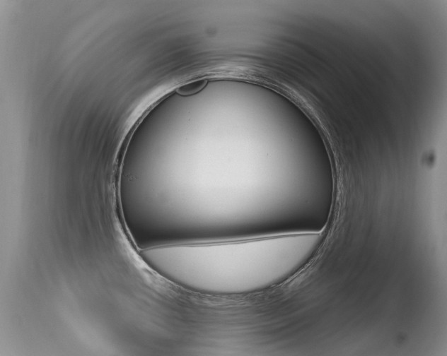 X0000113211434200909100935