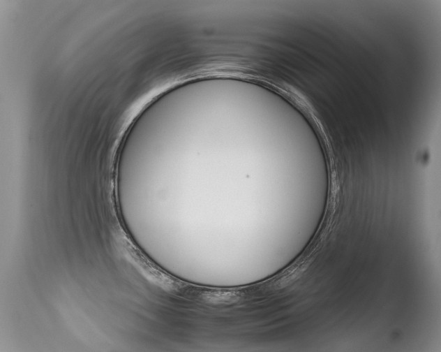 X0000113211435200909100935