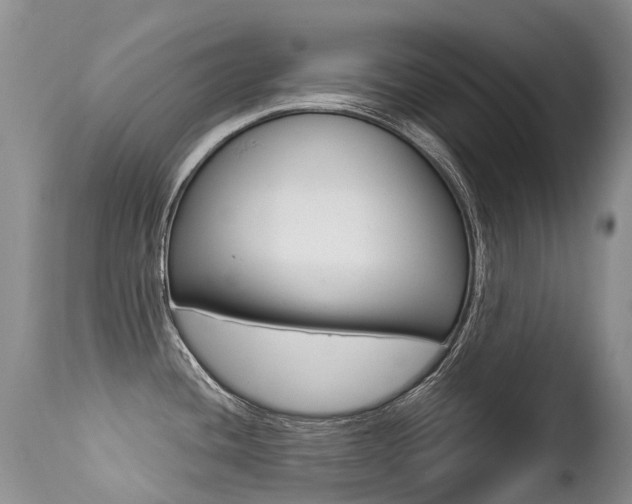 X0000113211436200909100935
