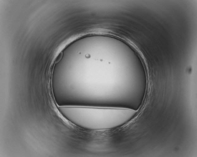 X0000113211437200909100935