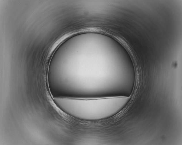X0000113211438200909100935