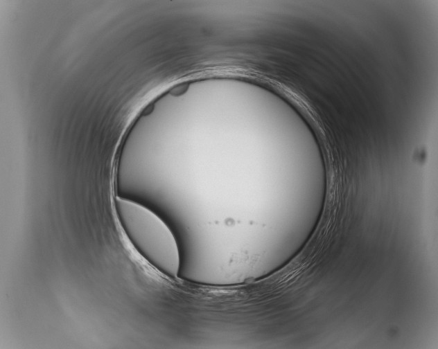 X0000113211439200909100935