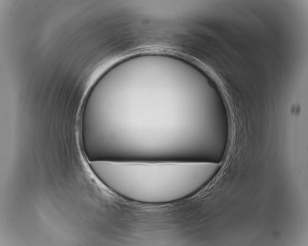 X0000113211440200909100935