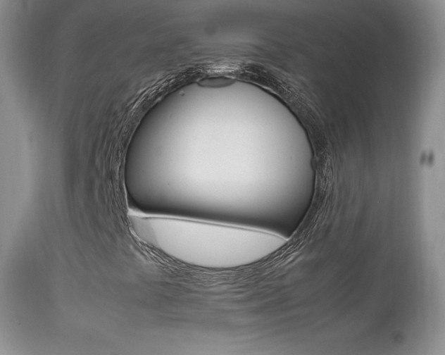 X0000113211441200909100935