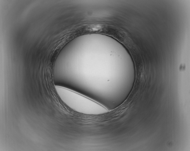 X0000113211442200909100935