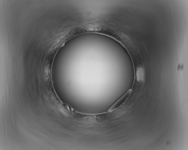 X0000113211444200909100935