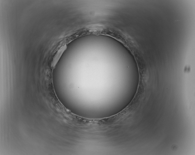 X0000113211445200909100935