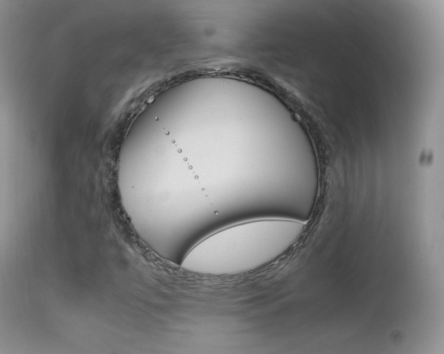 X0000113211447200909100935