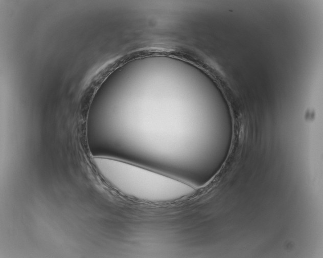 X0000113211448200909100935