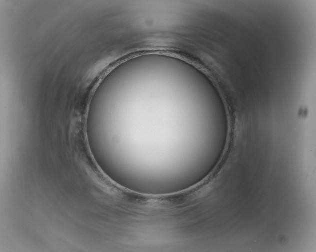 X0000113211449200909100935