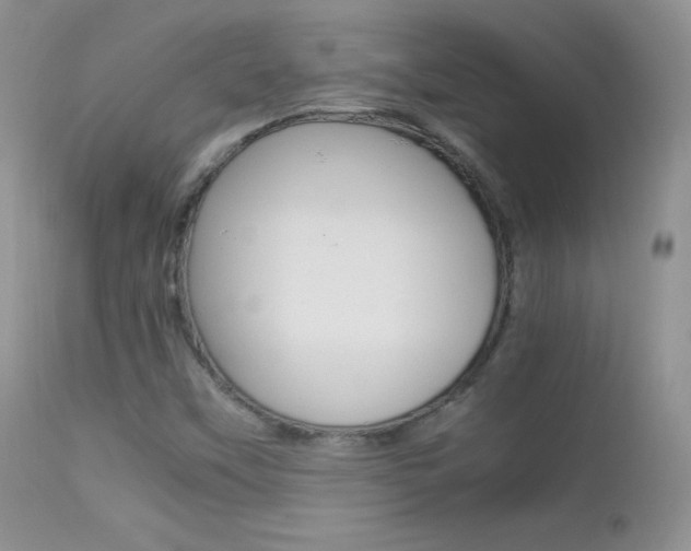 X0000113211451200909100935
