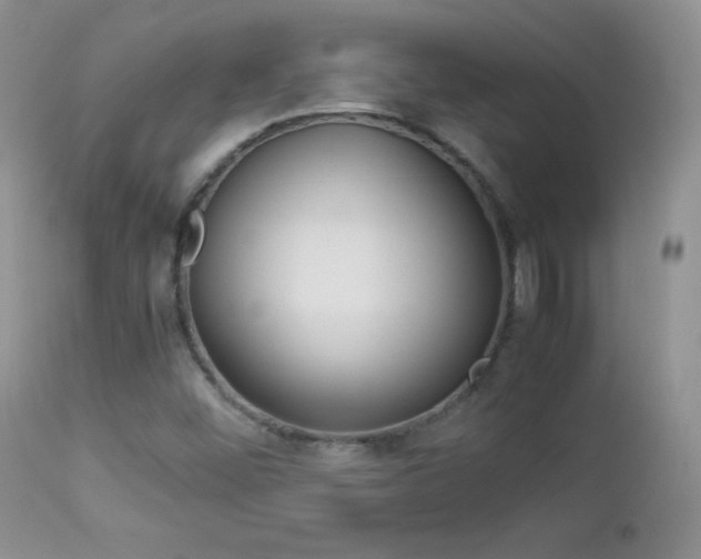 X0000113211452200909100935