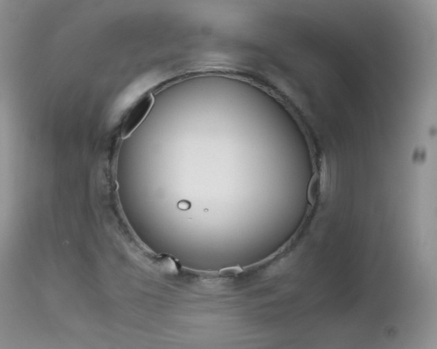 X0000113211453200909100935