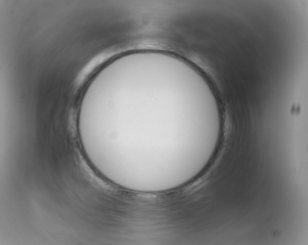 X0000113211454200909100935
