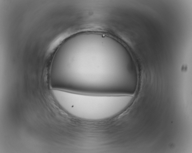 X0000113211455200909100935