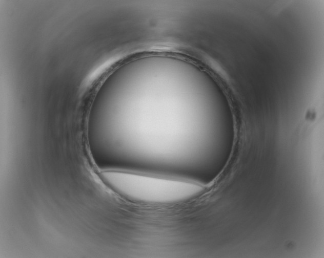 X0000113211456200909100935