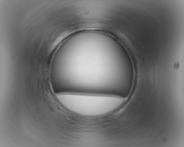 X0000113211457200909100935