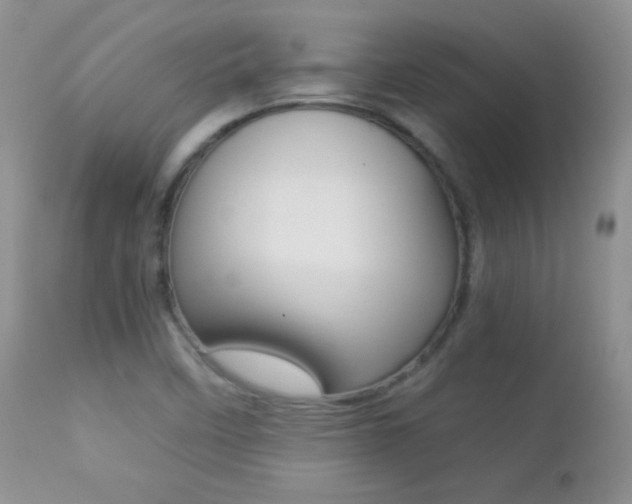 X0000113211458200909100935