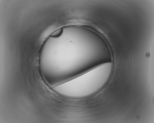 X0000113211459200909100935