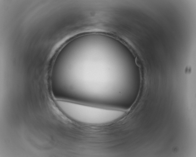 X0000113211460200909100935