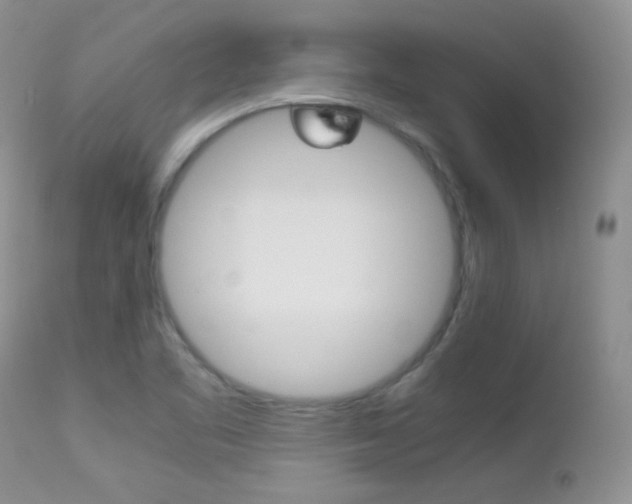 X0000113211461200909100934