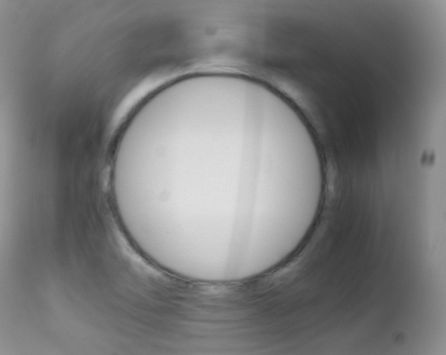 X0000113211462200909100934