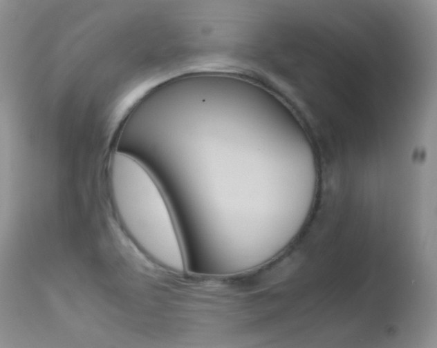 X0000113211463200909100934