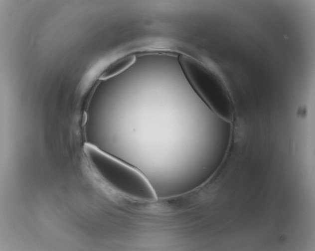 X0000113211464200909100934