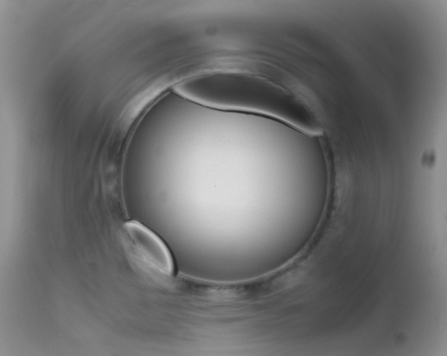 X0000113211465200909100934
