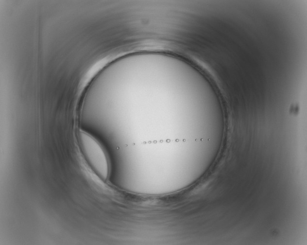 X0000113211467200909100934