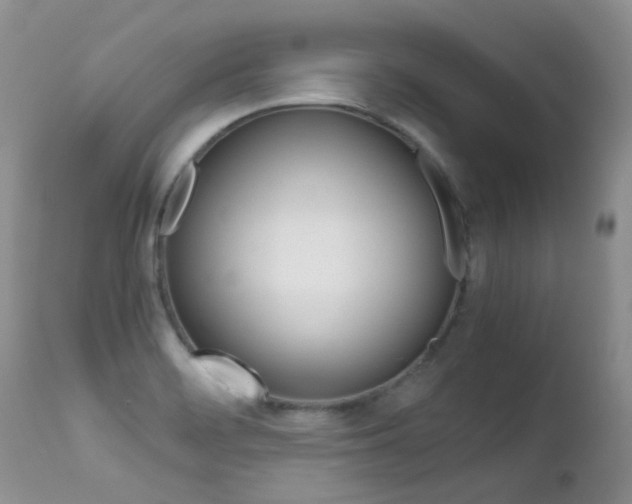 X0000113211468200909100934