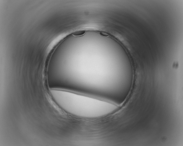 X0000113211469200909100934