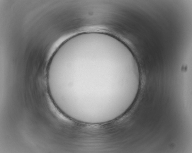 X0000113211470200909100934