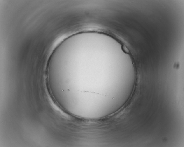 X0000113211471200909100934