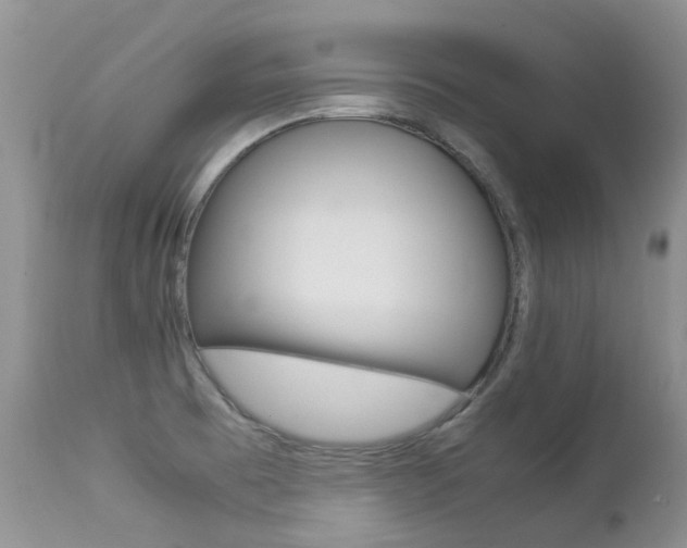 X0000113211473200909100934