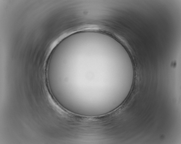 X0000113211475200909100934